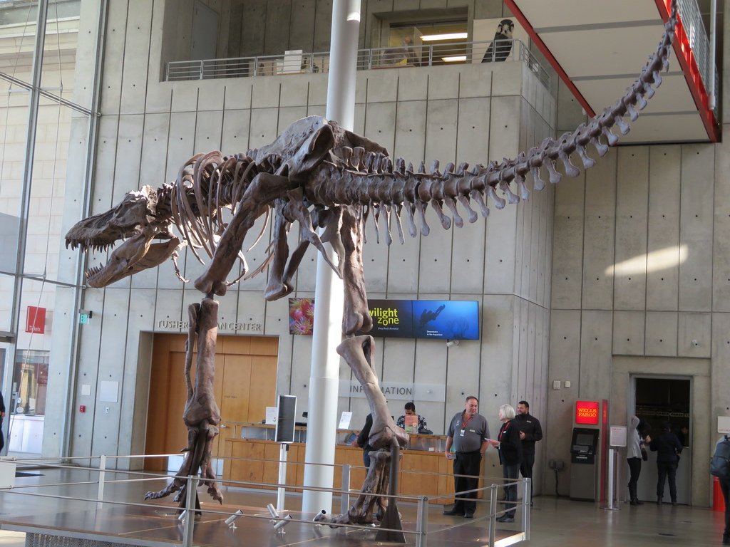 Bozeman's Research Revolution (image credits: flickr)