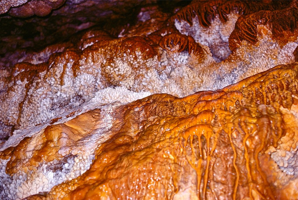 Rock Eaters: The Mineral-Munching Microbes (image credits: flickr)
