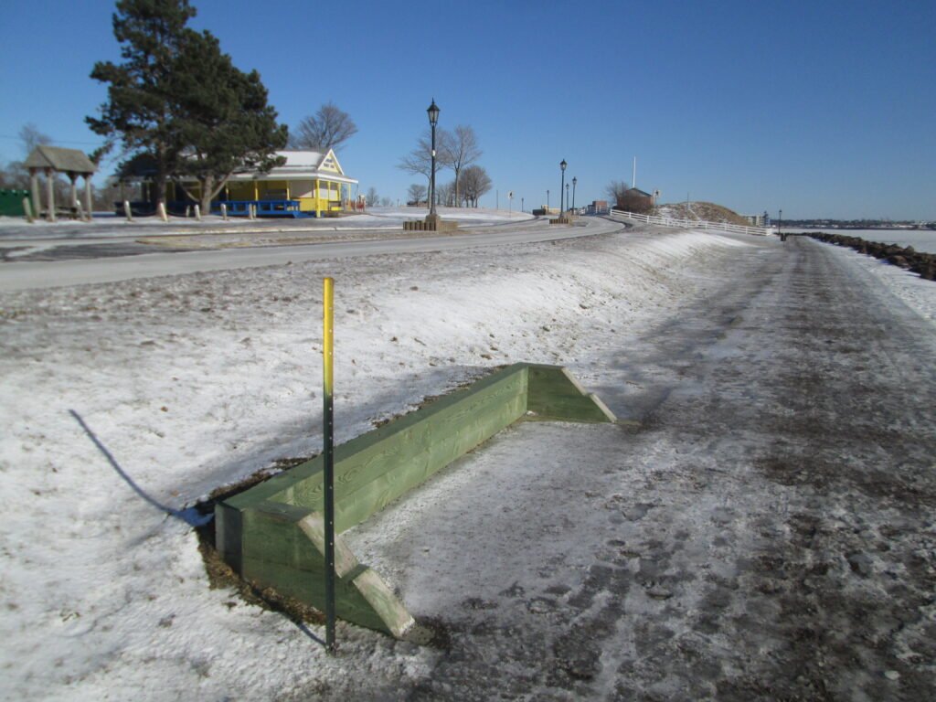 Temperature Tricksters: Living Anti-Freeze Systems