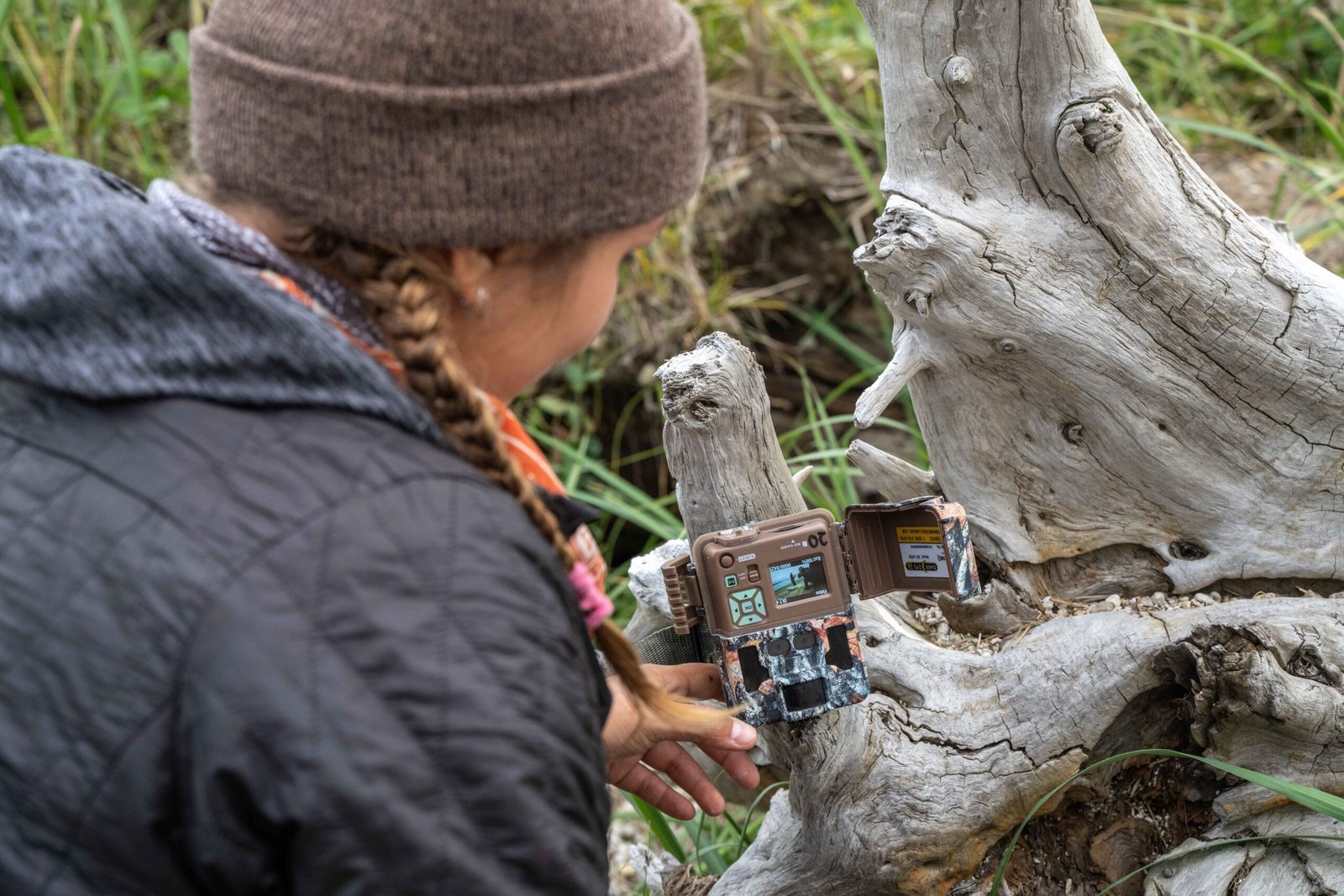 Monitoring Without Interference (image credits: wikimedia)