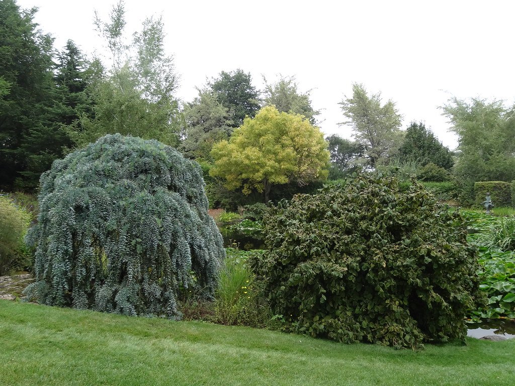 Chemical Warfare Against the Cold (image credits: flickr)