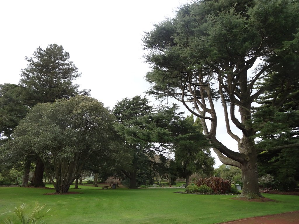 Thermal Gymnastics: Daily Temperature Survival (image credits: flickr)