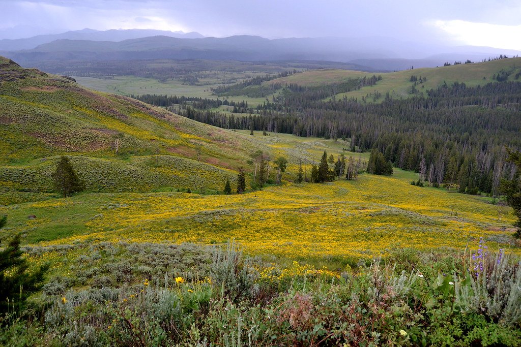 Climate Change: The Ultimate Test of Adaptation (image credits: flickr)