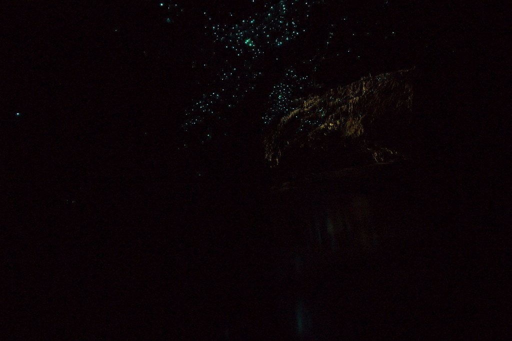 The Cathedral and Its Living Constellation (image credits: flickr)