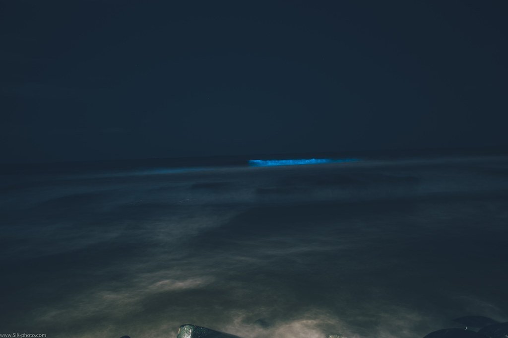 The Unpredictable Nature of Blue Waves (image credits: flickr)