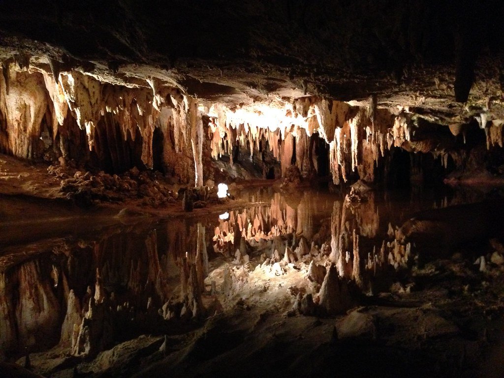 The Underground Symphony: Nature's Hidden Orchestra (image credits: flickr)