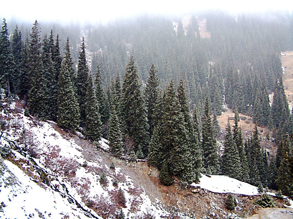 Seasonal Survival Mastery (image credits: flickr)