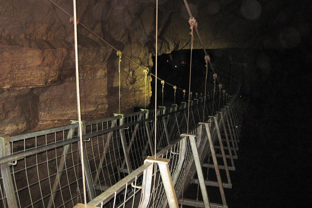 Lessons from Nature's Laboratory (image credits: flickr)