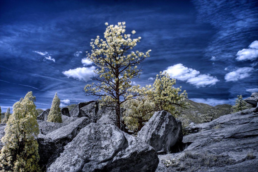 The Great Plant Swap Revolution (image credits: flickr)