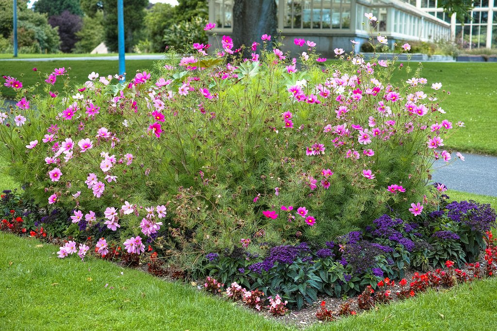 Children as Ecosystem Ambassadors (image credits: flickr)