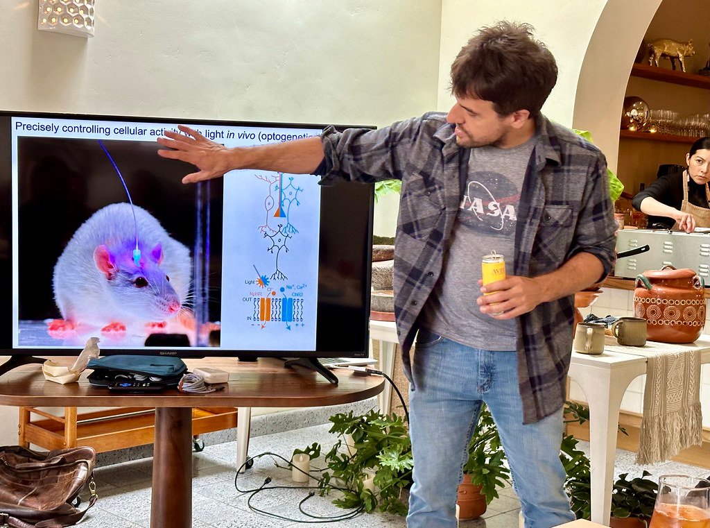 Cellular Resources Under Siege (image credits: flickr)