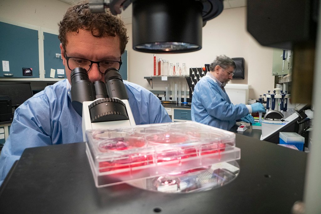 The Great Escape Plan (image credits: flickr)