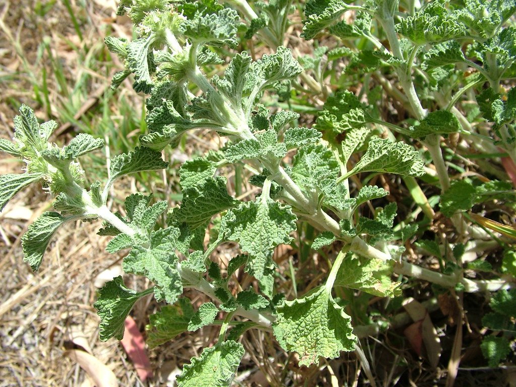 Tools of the Trade: Low-Tech Solutions (image credits: flickr)