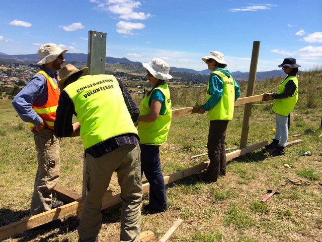 The Economics of Volunteer Conservation (image credits: flickr)