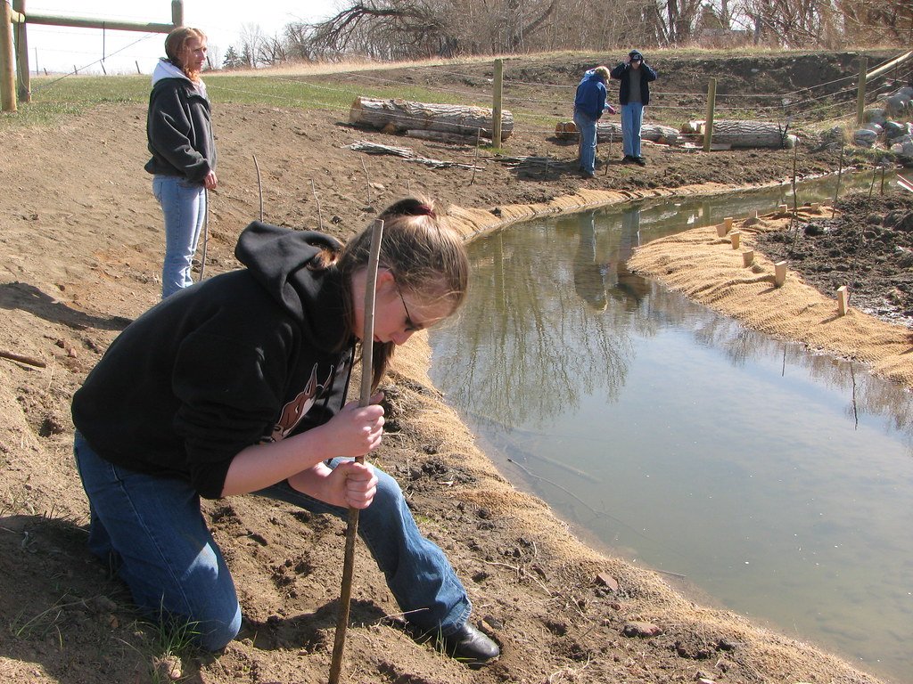 Policy Changes Driven by Grassroots Success (image credits: flickr)