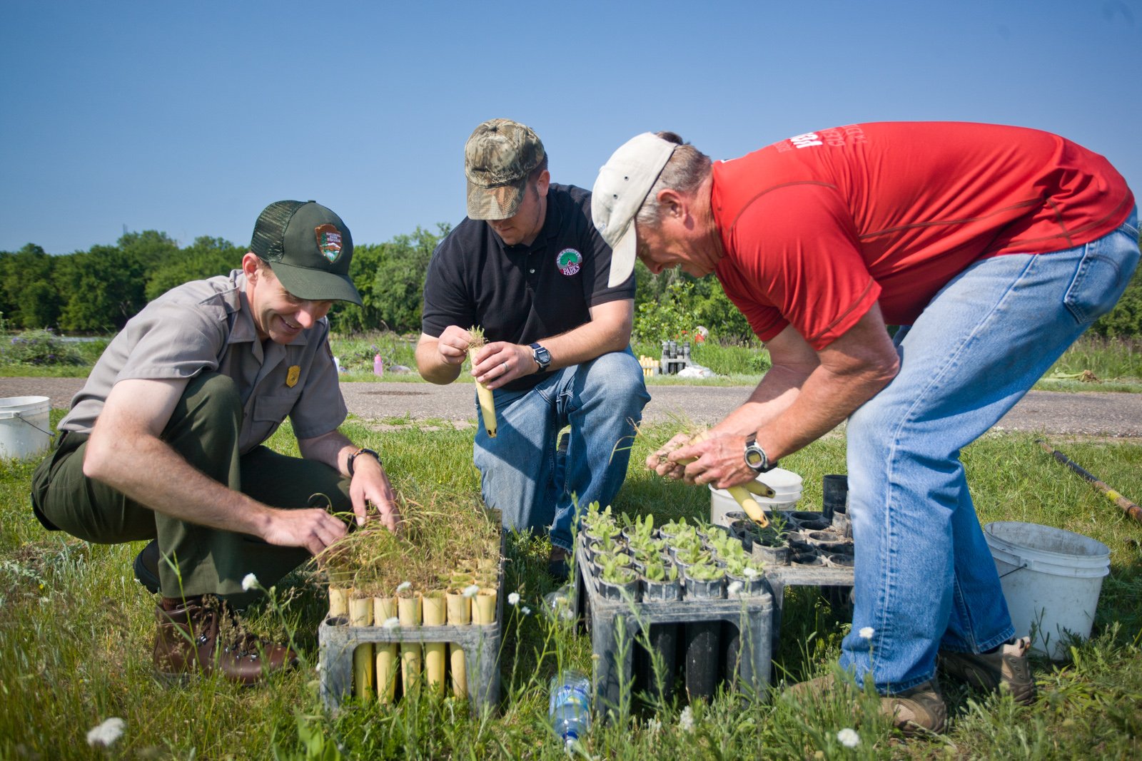 Looking Forward: The Future of Volunteer Restoration (image credits: wikimedia)