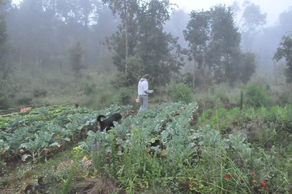 Nighttime Water Factories in Full Operation (image credits: flickr)