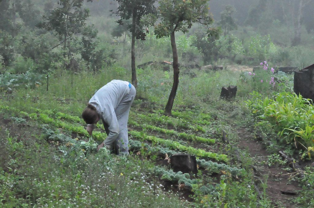 The Energy Economics of Atmospheric Water (image credits: flickr)