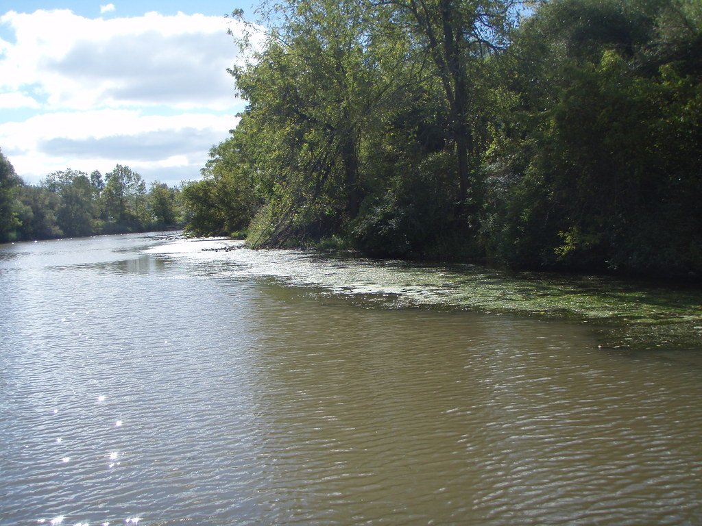 Why Southern Waters Became the Perfect Playground (image credits: flickr)