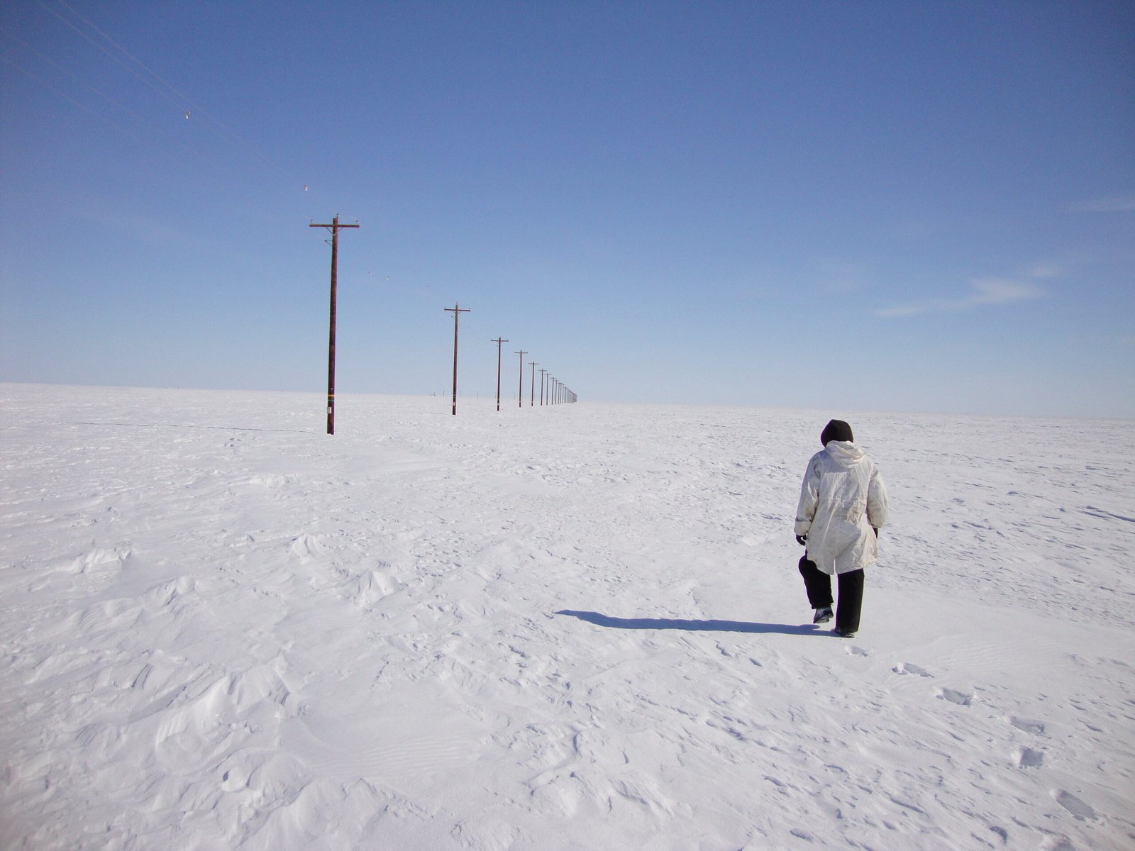 The Race Against Time in Arctic Research (image credits: wikimedia)