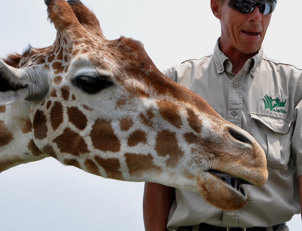 Community-Based Conservation: Local Solutions for Global Problems (image credits: flickr)