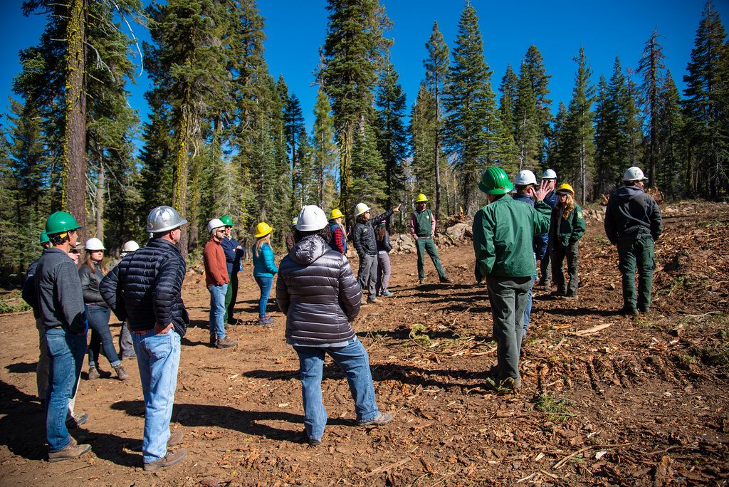 Conservation Finance: Following the Money (image credits: flickr)