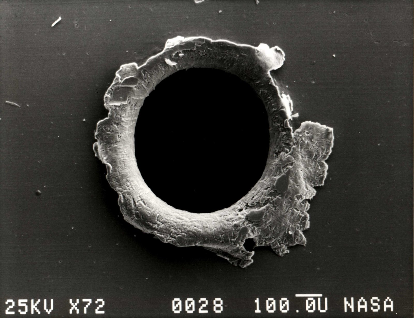 The Solar Panel That Survived the Impossible (image credits: wikimedia)