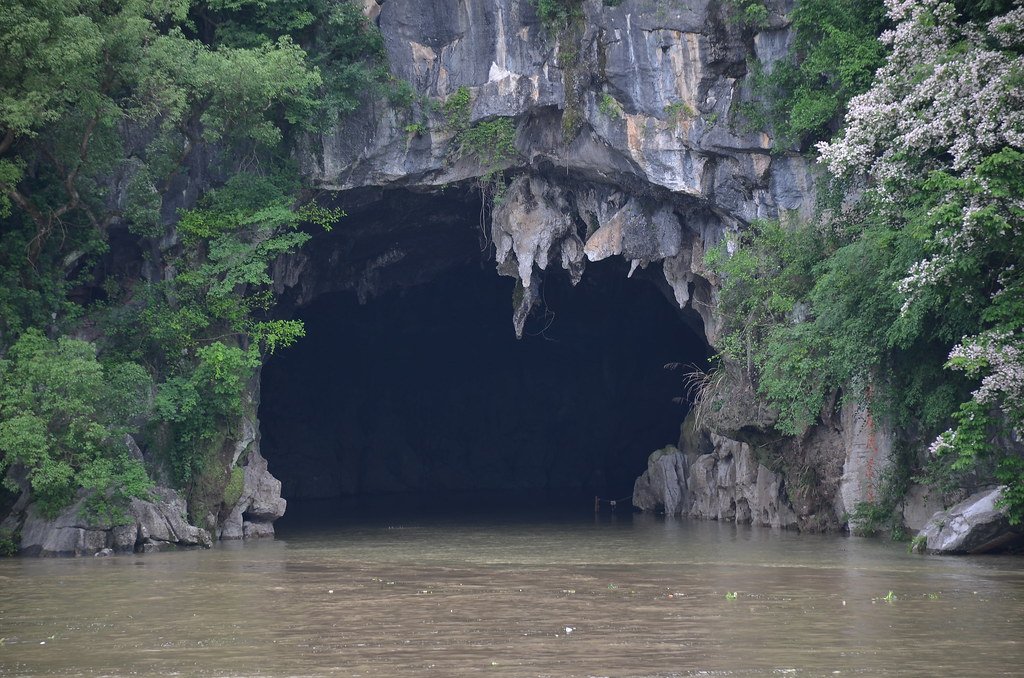Impact on Surface Ecosystems (image credits: flickr)
