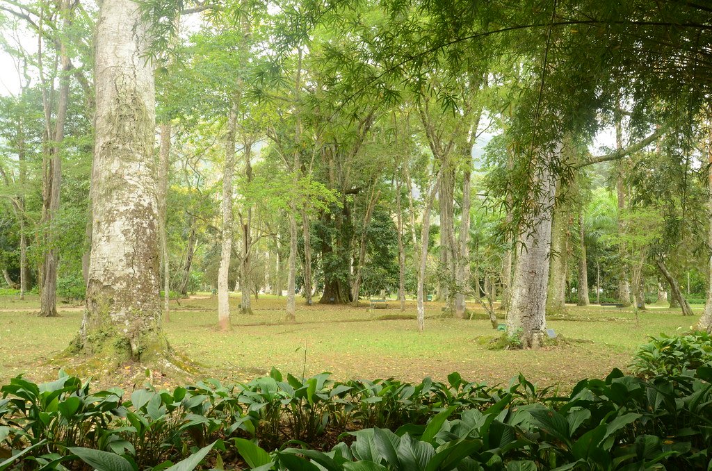 Florida’s Unique Vulnerability (image credits: flickr)