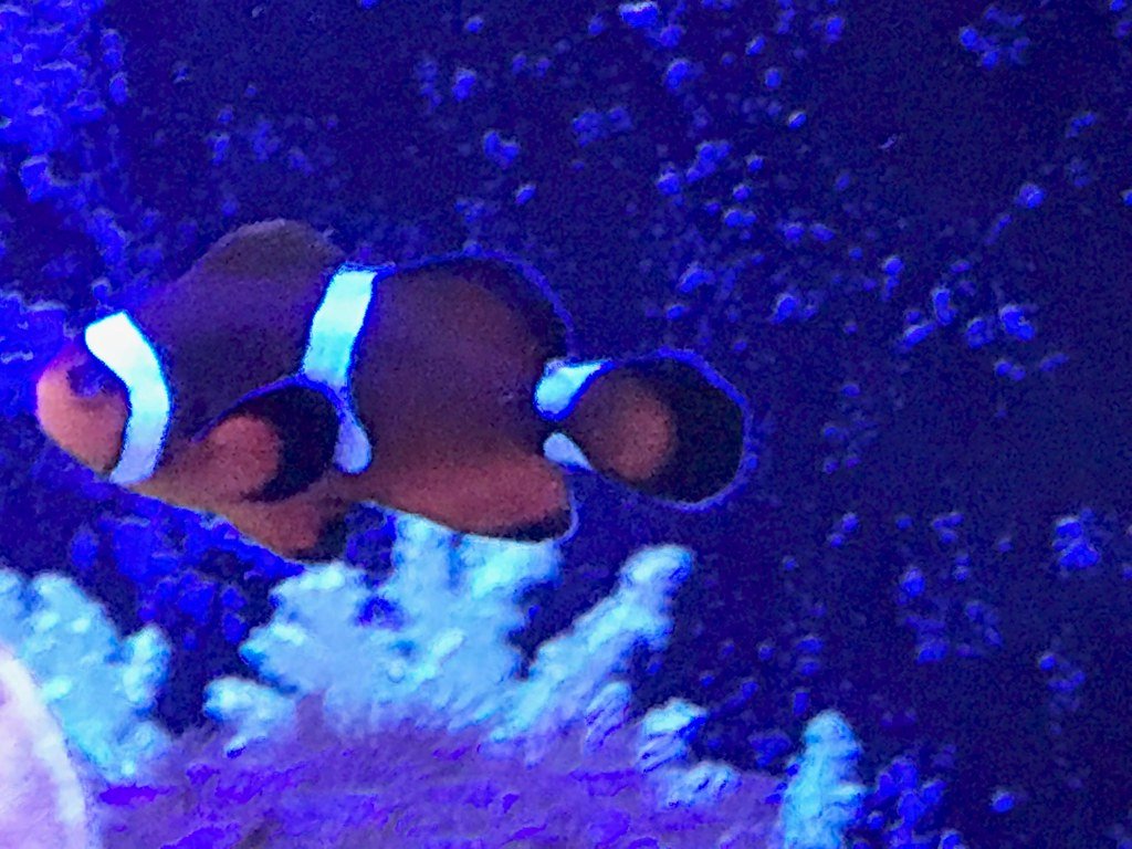 Lighting: Setting the Stage for Life (image credits: flickr)