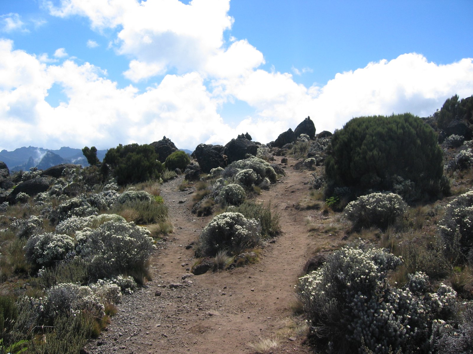 Four Seasons in a Day: Zoned for Survival (image credits: wikimedia)