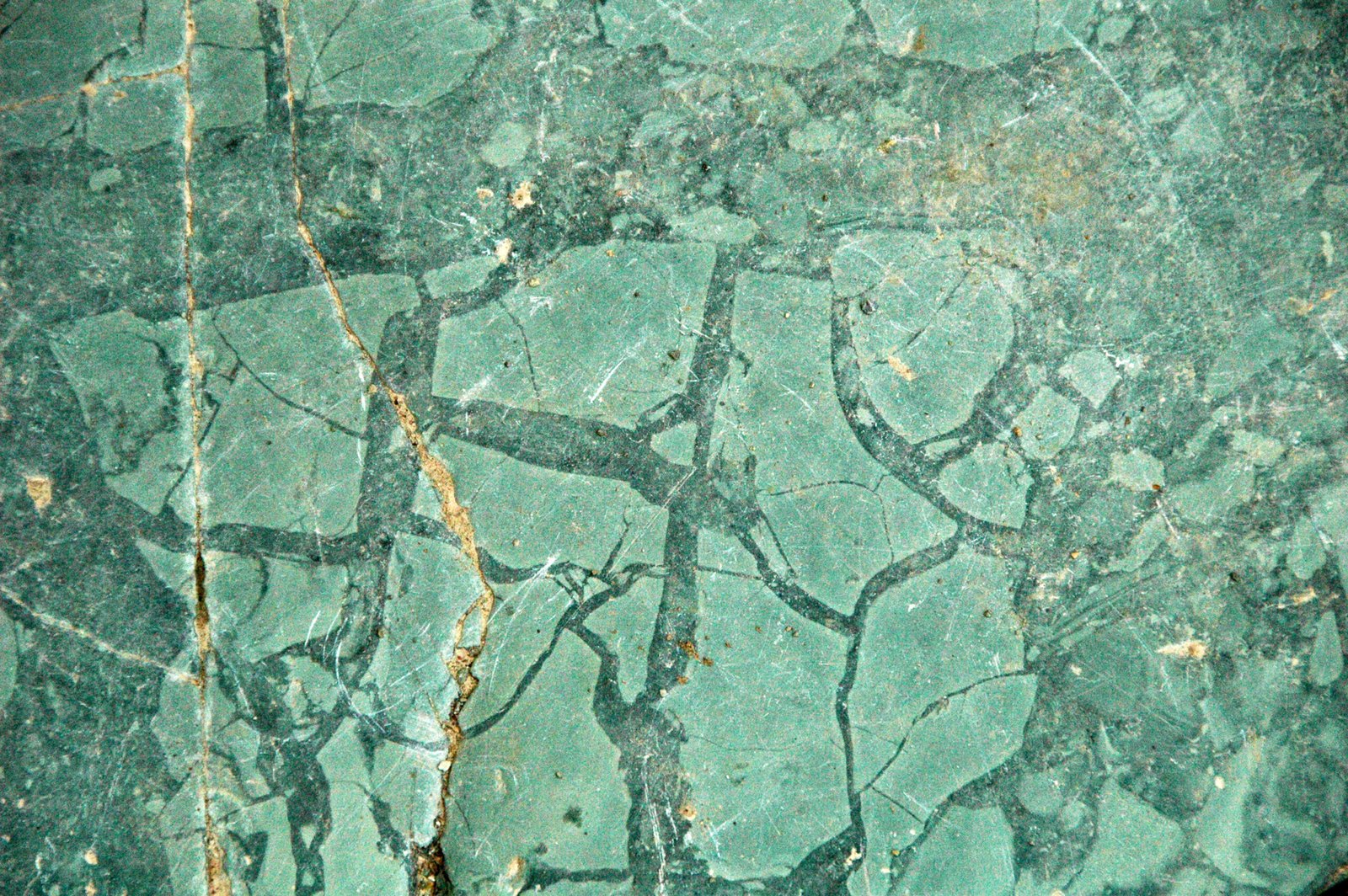 The Incredible Discovery That Changed Everything (image credits: wikimedia)