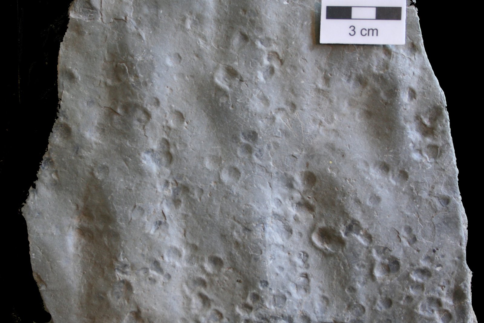Global Search for Earth's Oldest Weather Records (image credits: wikimedia)