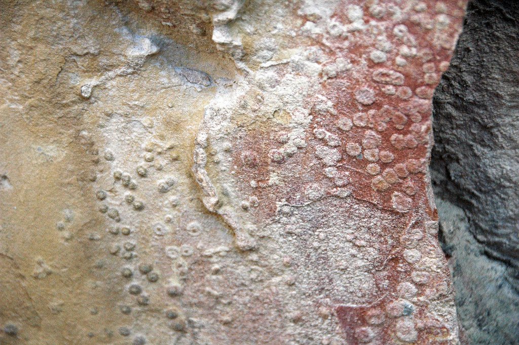 Lessons from Droplets of Deep Time (image credits: flickr)