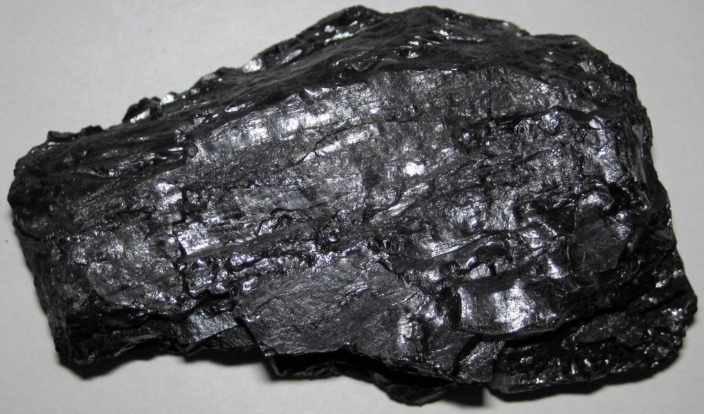 Breathing Stones from Ancient Seas (image credits: flickr)