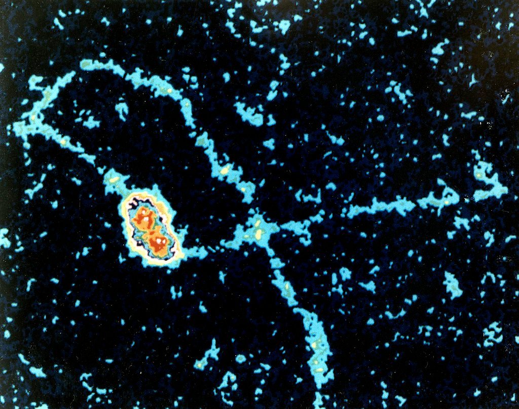 Genetic Medicine and Personalized Treatment (image credits: flickr)