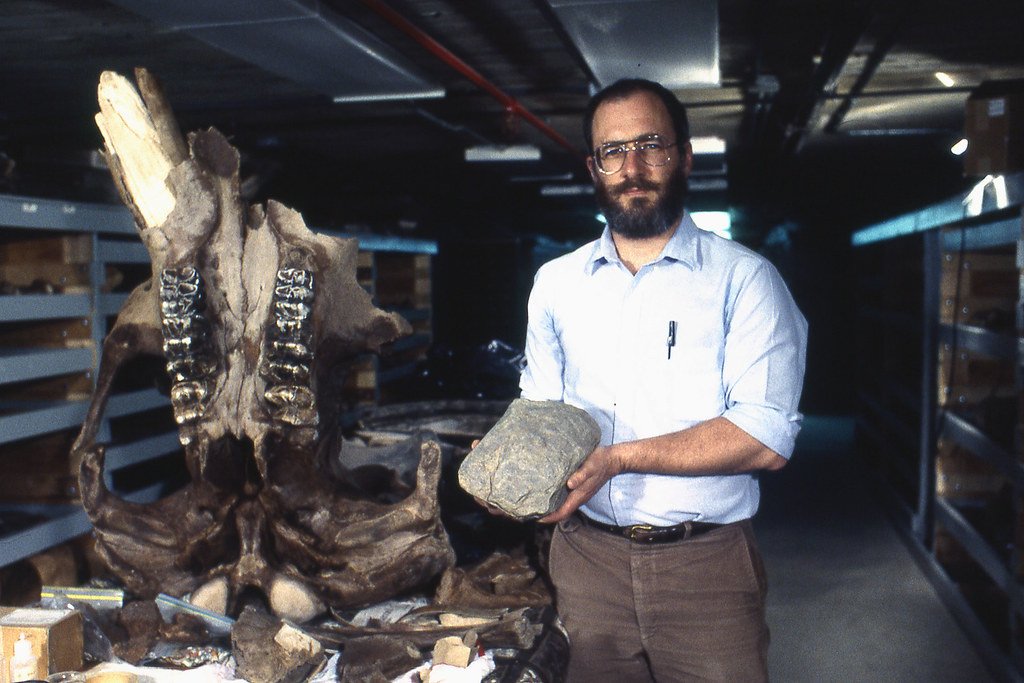 The Surprising World of Florida's Ancient Elephants (image credits: flickr)