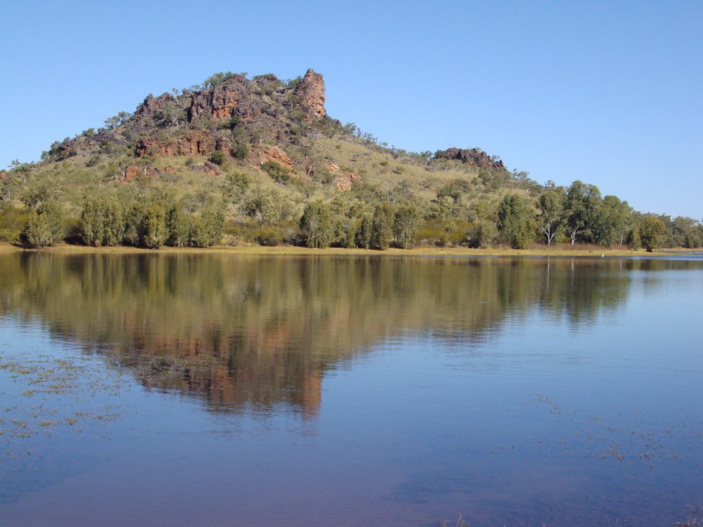 The Bone Bed That Revealed Florida's Ancient Rainforest (image credits: flickr)