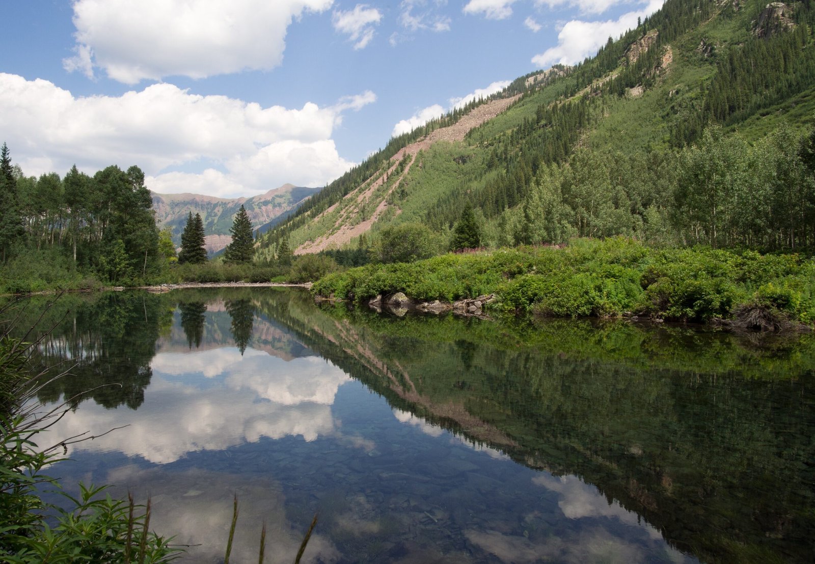Water: The Universal Life Requirement (image credits: wikimedia)