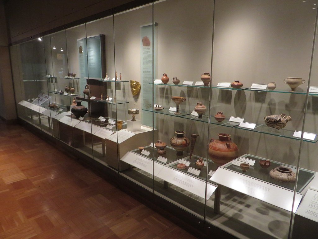 The Subway System's Fossil Gallery (image credits: flickr)