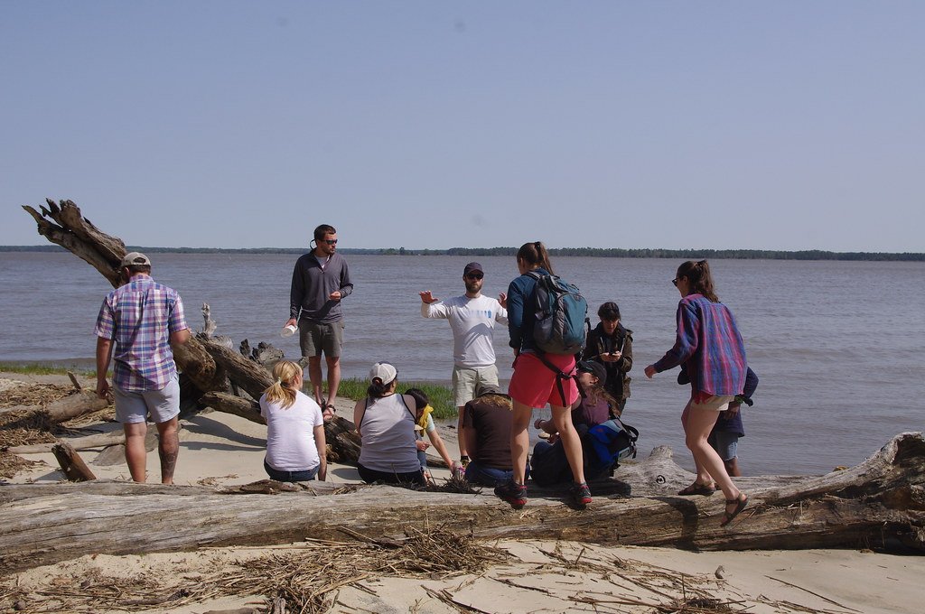 Educational Impact of Urban Fossils (image credits: flickr)