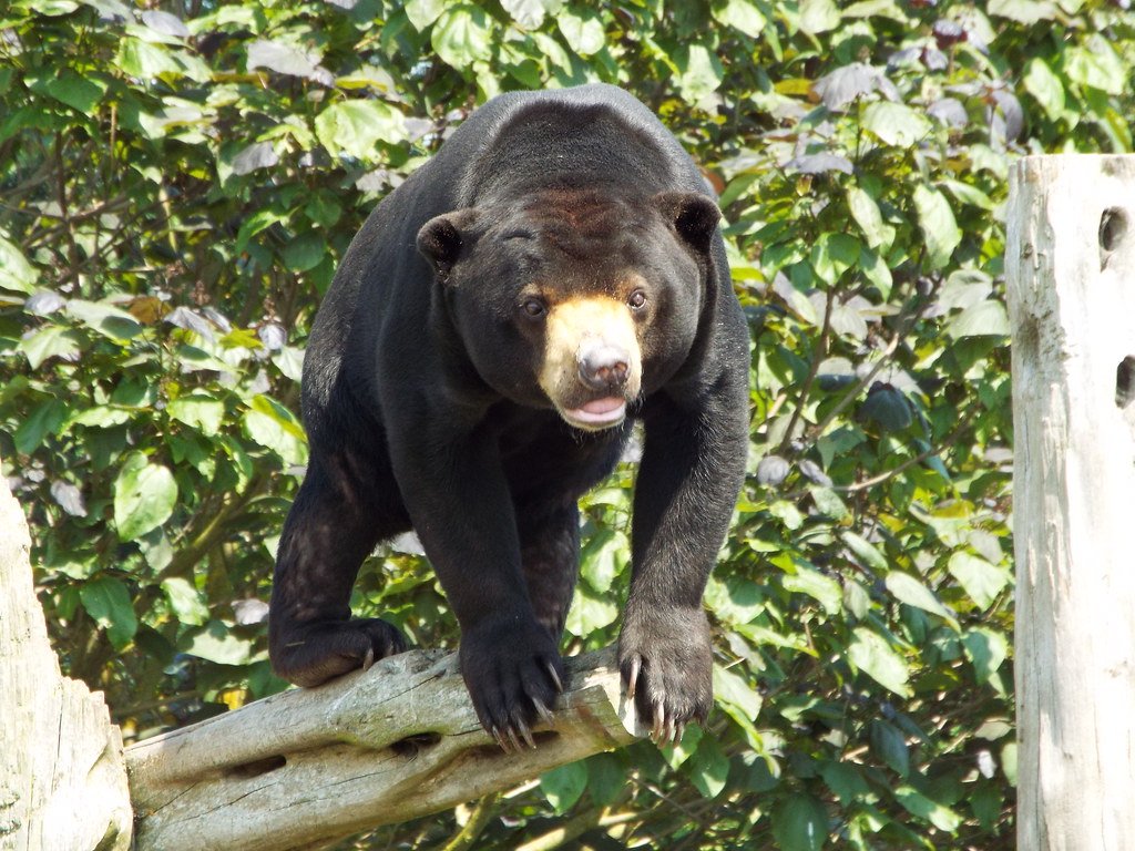 The Economics of Conservation (image credits: flickr)