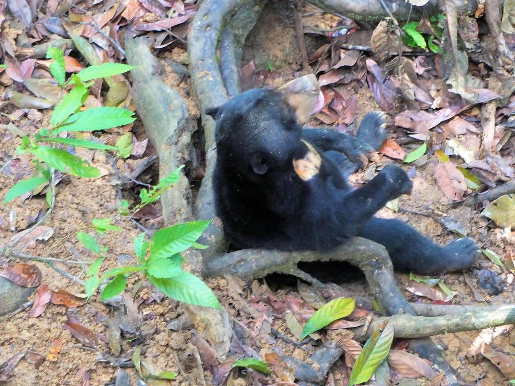 Climate Change and Adaptation Challenges (image credits: flickr)