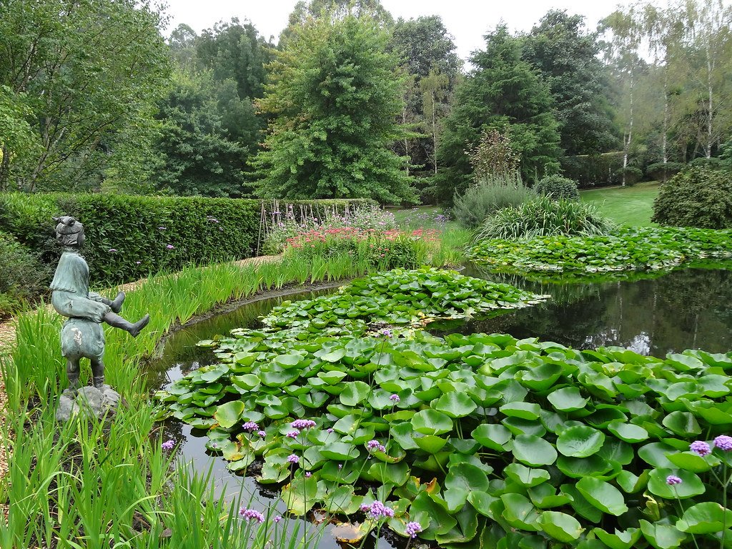 The Great Escape: How Garden Darlings Became Ecological Villains (image credits: flickr)