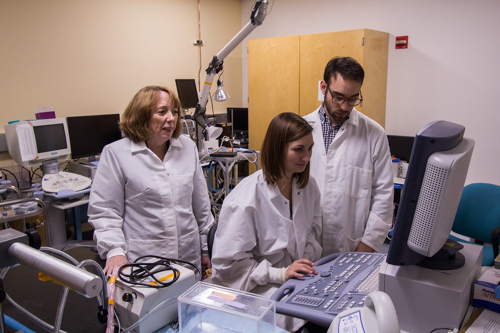 Medical Device Engineer in Minneapolis, Minnesota (image credits: flickr)