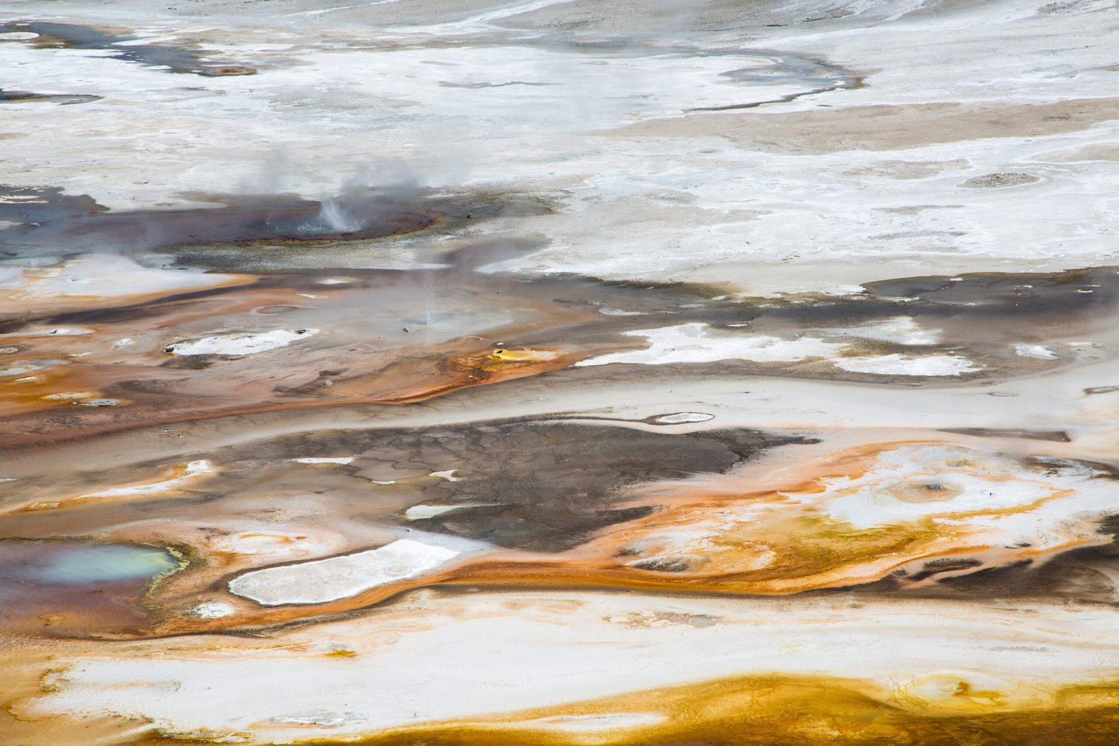 From Yellowstone to Your Medicine Cabinet (image credits: wikimedia)