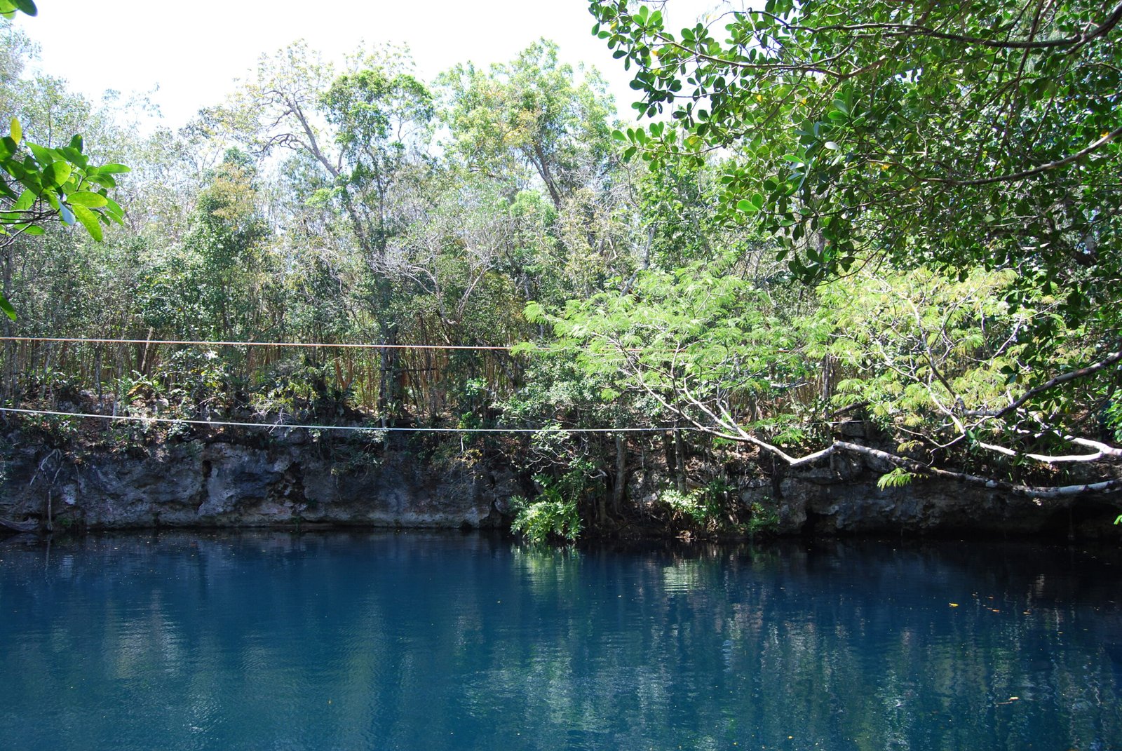 Yucatán’s Cenote Angelita: A River Beneath the Earth (image credits: wikimedia)