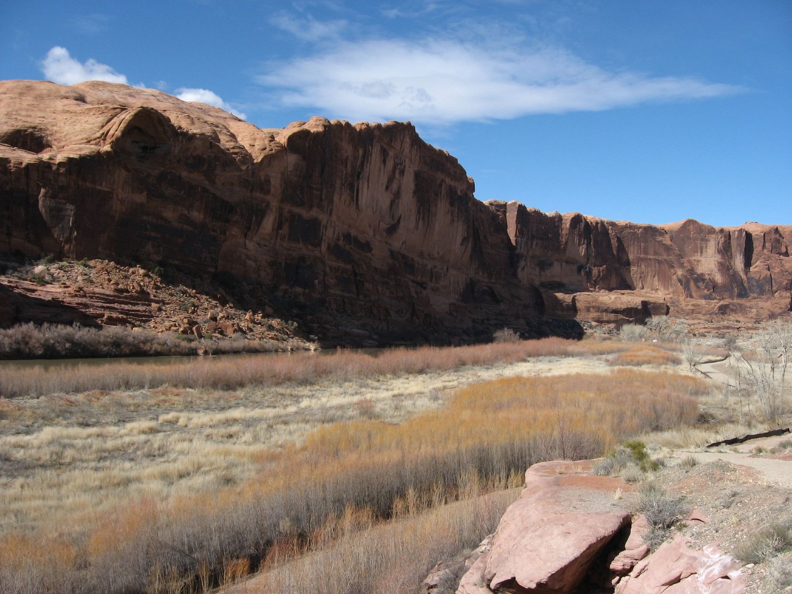 Big Bend National Park: Texas’ Cretaceous Giants (image credits: wikimedia)