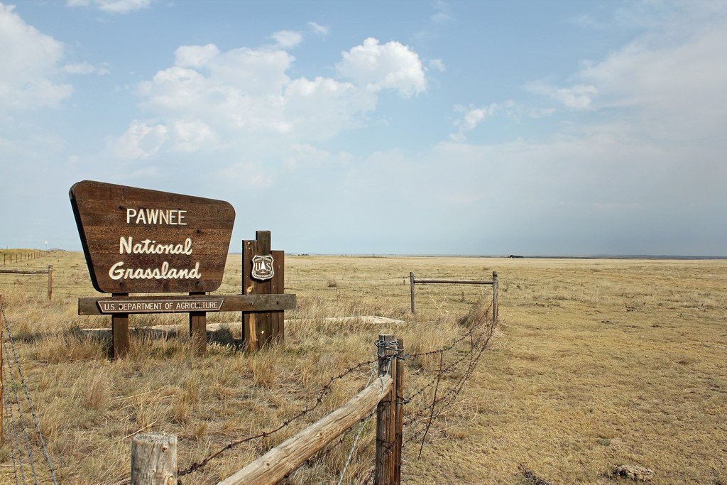 Pawnee National Grassland: Colorado’s Hidden Dinosaur Tracks (image credits: flickr)