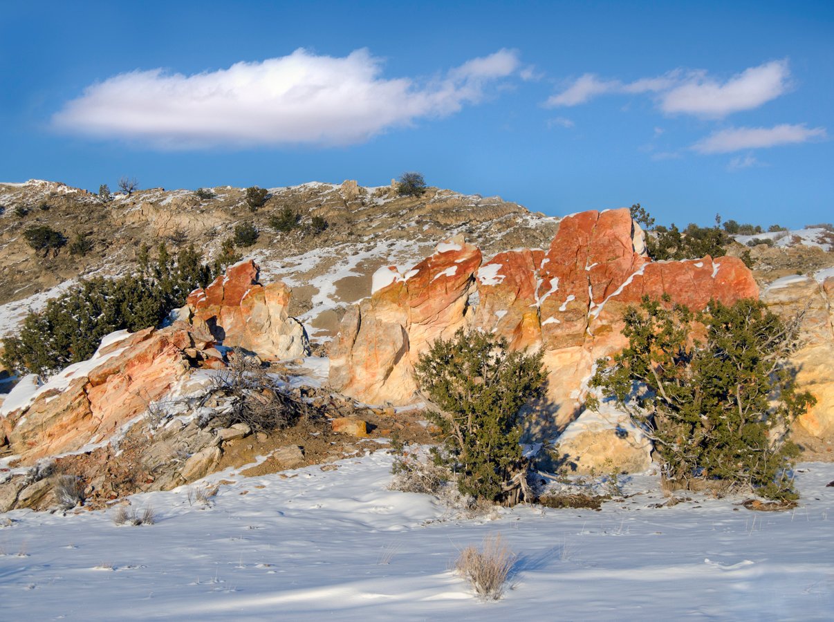 Ojito Wilderness: New Mexico’s Fossil Desert (image credits: wikimedia)